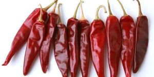 Dry Red Chilli