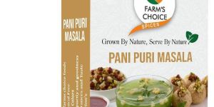 Farms Choice Pani Puri Masala