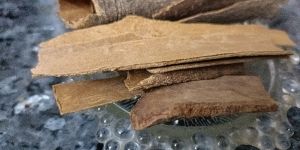 Cinnamon Stick