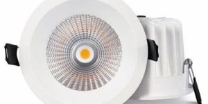 Philips Sky Spot COB Light