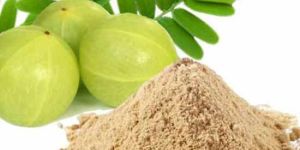 Amla Powder