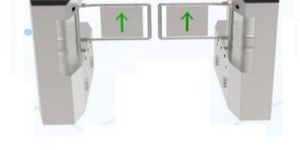 Entrance Control System