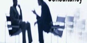 Business Process Improvement Consultancy