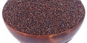 Mustard Seeds