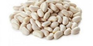 Organic White Beans