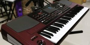 Korg PA1000 61 Key Arranger Keyboard New