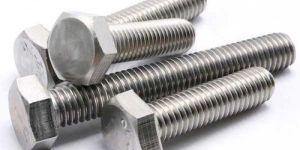 Stainless Steel Hex Bolt