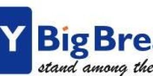 Resume Writing Services