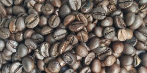 Roasted Coffee Beans