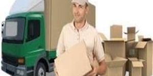 Commercial Packers and Movers Services