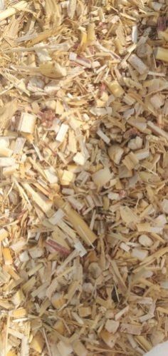 Kadba Kutti Cattle Feed