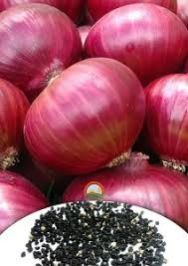 Fresh Red Onions