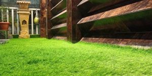 Artificial Grass