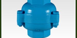 Cast Iron Check Valve