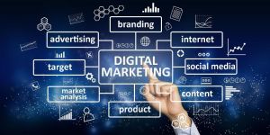 Digital Marketing Training Services