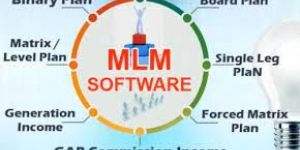 MLM Portal