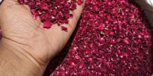 Dried Red Rose Petals
