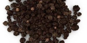 Black Pepper Seeds