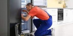 Fridge Repairs