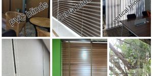 Window Blinds