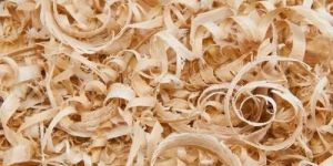 Rubber Wood Sawdust