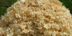 Wood Shavings