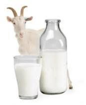 Goat Milk