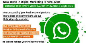 Whatsapp Marketing