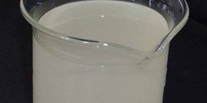 Acrylic Polymer Emulsions