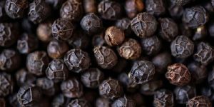 Black Pepper Seeds