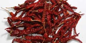 Byadgi Red Chilli