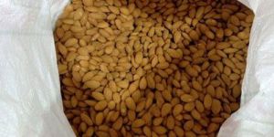Almonds Nuts