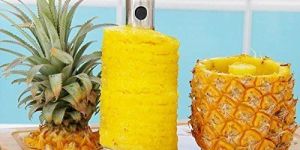 Pineapple Cutter