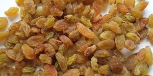Raisins TDP68