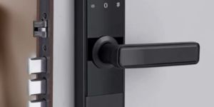 LAVNA LA24 Smart Door Lock with Bluetooth Mobile App, Fingerprint, RFID Card, PIN, OTP and Manual Ke