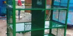 Chicken Cage