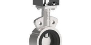 Cast Iron Butterfly Valve