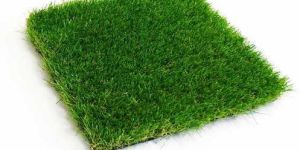 Artificial Grass