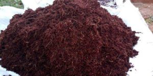 Cocopeat Powder