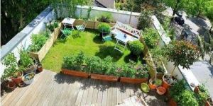 Terrace Garden Service