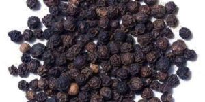 Black Pepper Seeds