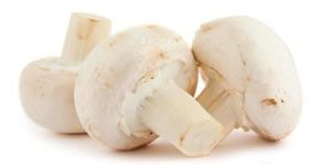 Golden White Mushroom