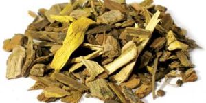 Daru Haldi Root