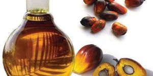 Palm Oil