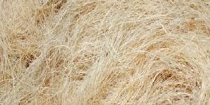 White Coir Fiber