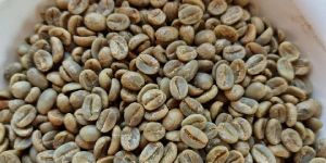 Arabica Coffee Beans