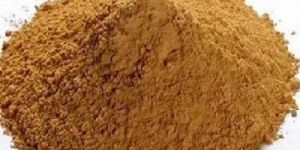 Tinospora Cordifolia Extract