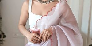 Soft Pure Organza Handwork Sarees