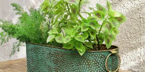 Metal Home Decorative Tin Planter Boxes