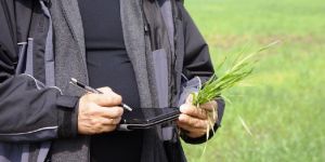 Farming Consultancy Services